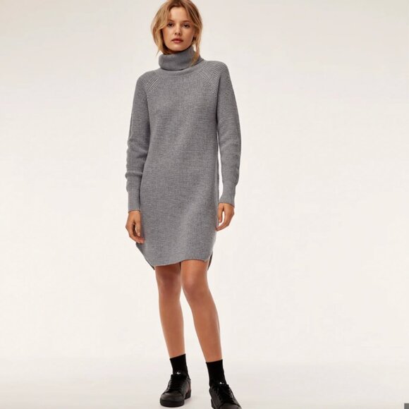 Aritzia Wilfred Free Wool Turtle Neck Sweater Dress - Picture 5 of 5